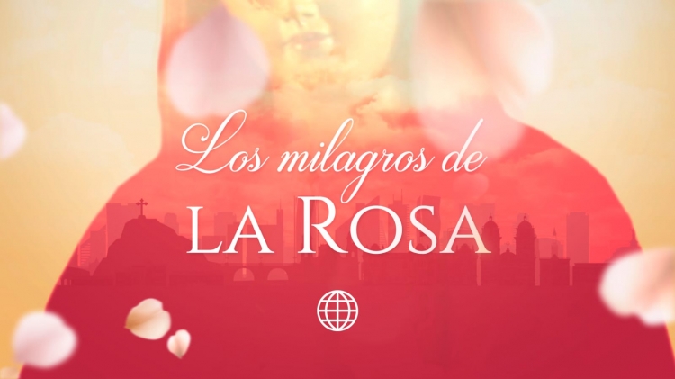 'Los Milagros de la Rosa' lidera su horario y reafirma el éxito de América TV.