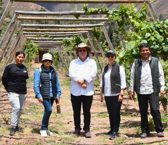 Vino del Urubamba supera en puntaje a vinos del mundo